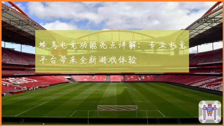 蜂鸟电竞功能亮点详解：专业电竞平台带来全新游戏体验