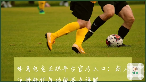 蜂鸟电竞正规平台官方入口：新人注册教程与功能亮点详解