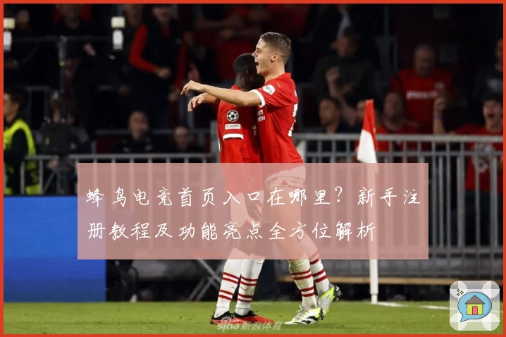 蜂鸟电竞首页入口在哪里？新手注册教程及功能亮点全方位解析