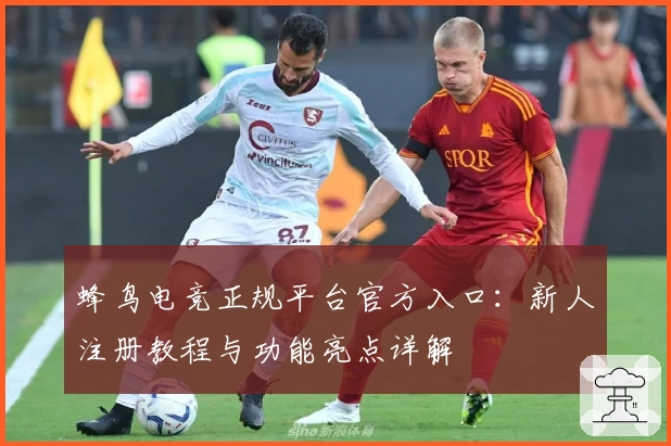 蜂鸟电竞正规平台官方入口：新人注册教程与功能亮点详解
