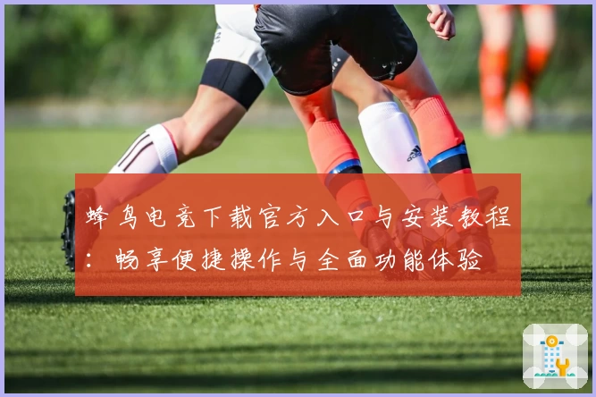 蜂鸟电竞下载官方入口与安装教程：畅享便捷操作与全面功能体验