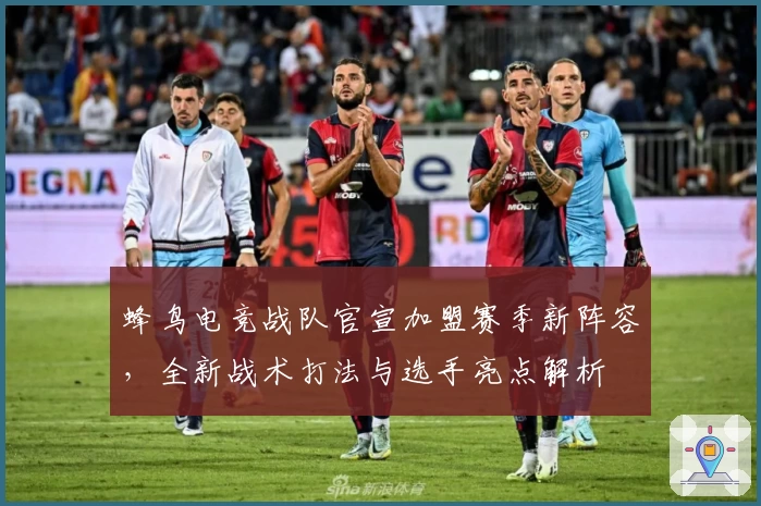 蜂鸟电竞战队官宣加盟赛季新阵容，全新战术打法与选手亮点解析